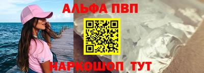 гашик Донской